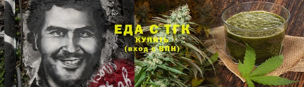 прущие грибы Бердск