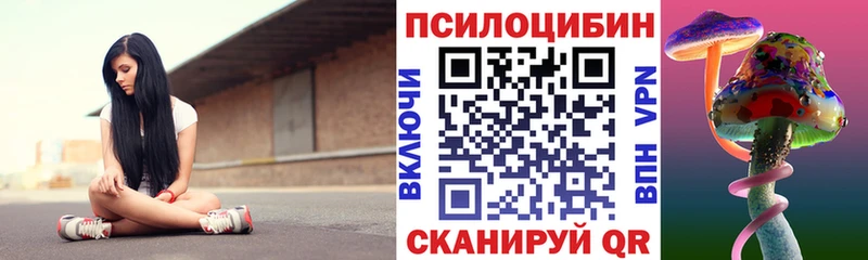 Псилоцибиновые грибы Cubensis Невельск